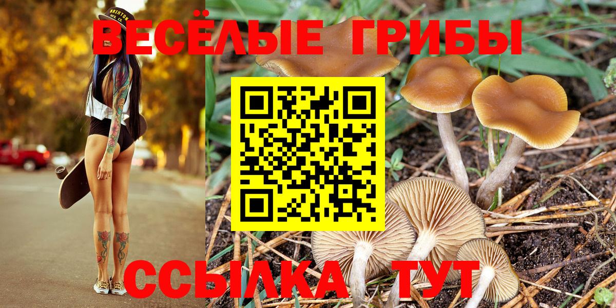 Галлюциногенные грибы Cubensis  Вход с VPN  Кохма 